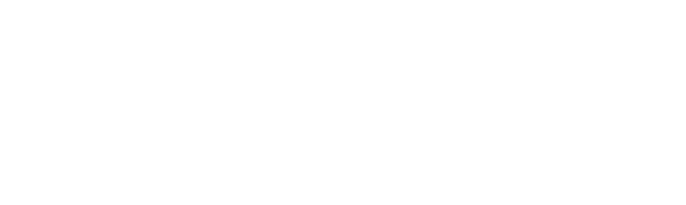 RSMC Systems - IT Services Wien